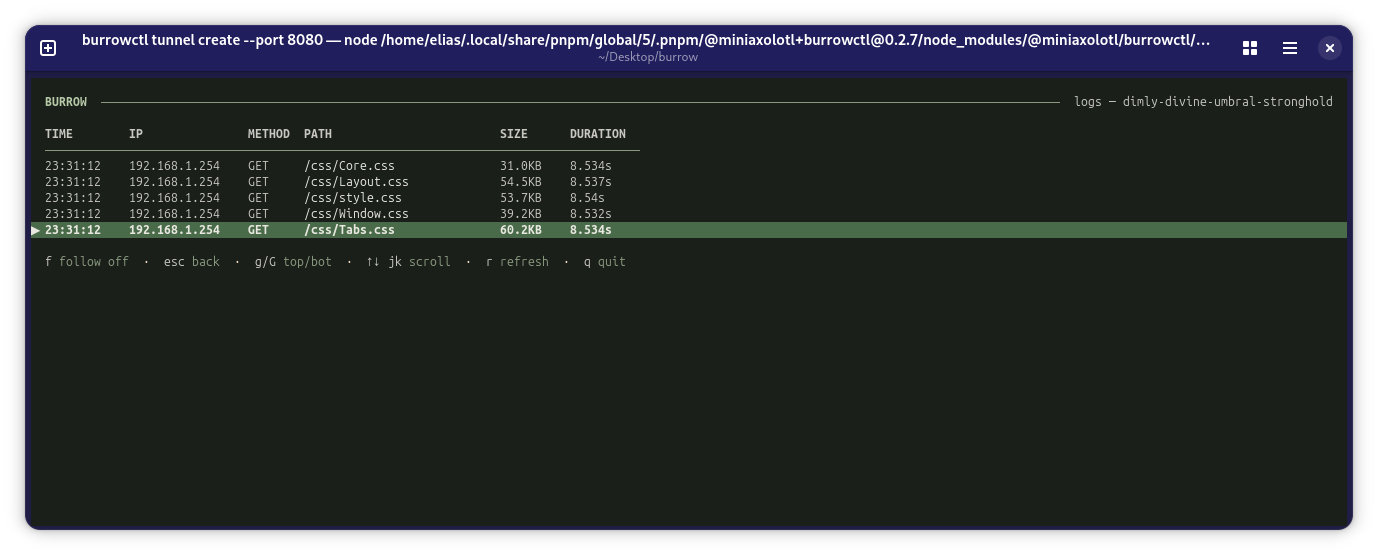 Burrow tunnel logs showing real-time connection activity