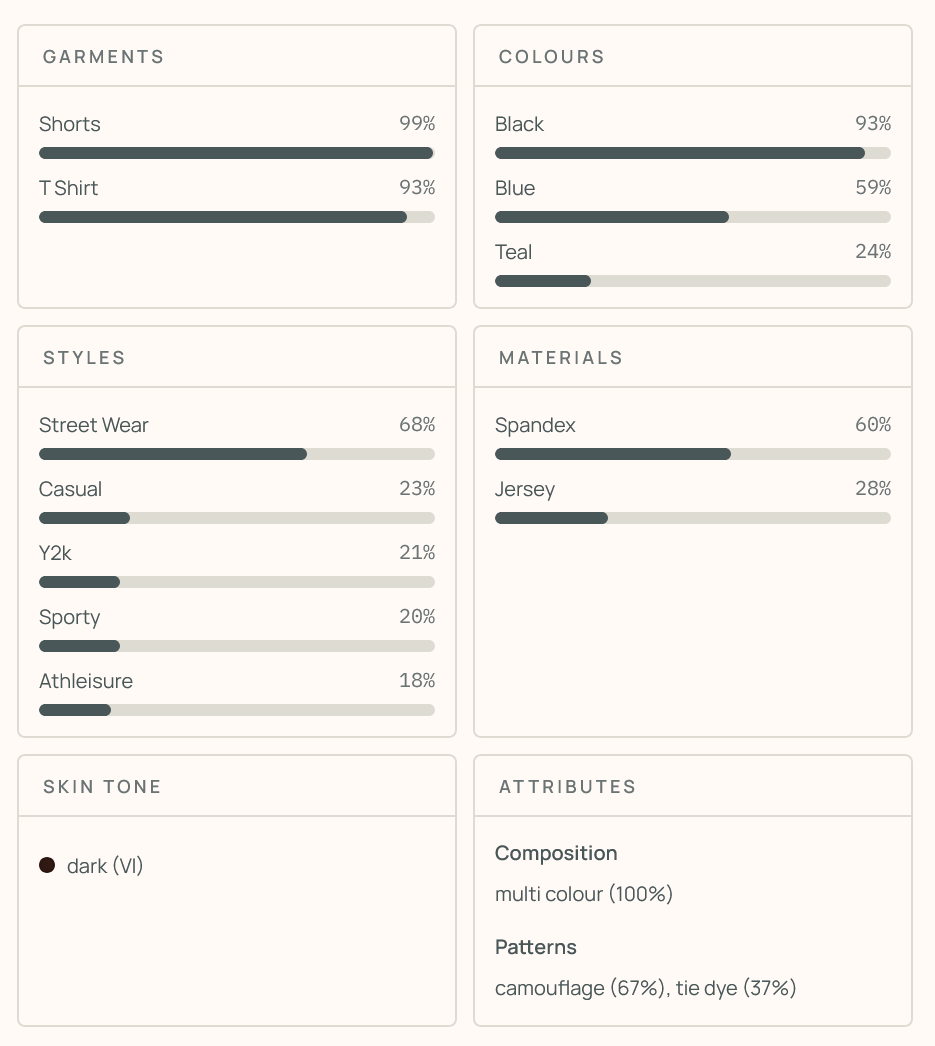 Classification output with bounding boxes, garment labels, and confidence scores