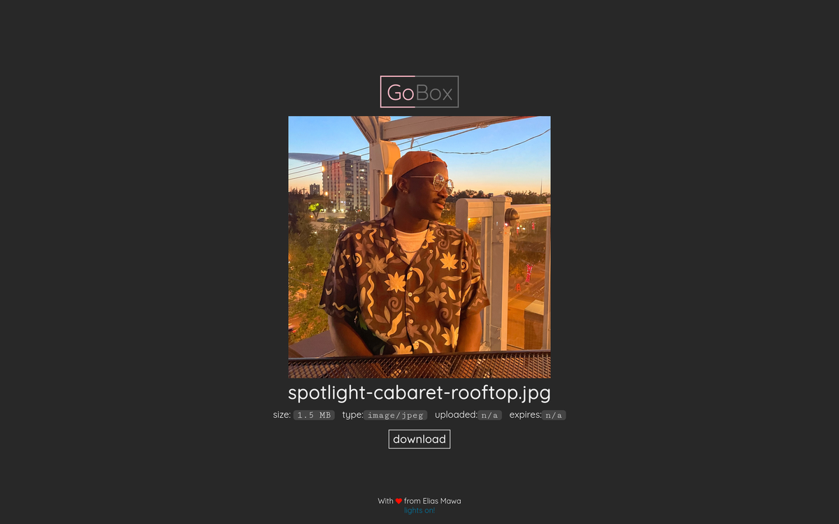 GoBox file preview and download page